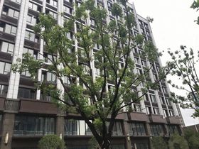 前滩东方悦澜