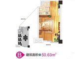 海纳光合谷_1室1厅1卫 建面50平米