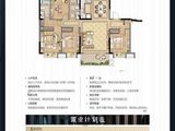 海盐碧桂园海湾1号_4室2厅2卫 建面143平米
