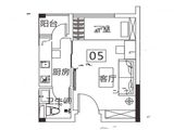 凤凰台_1室1厅1卫 建面35平米