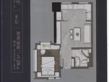古运传奇_1室1厅1卫 建面58平米