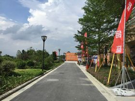 樵山金茂悦
