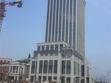 桐乡高铁新区高桥阳光城