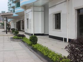 阿萨卡网红城市