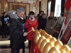 达州凤凰城