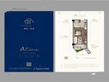 峨眉观顶_1室1厅1卫 建面42平米