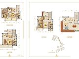 碧桂园齐瓦颂_5室3厅5卫 建面265平米