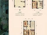 安国数字中药都_256平米户型 建面256平米