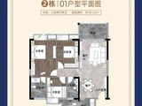 仙湖廷_3室2厅2卫 建面116平米
