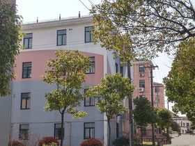 城建爱上海