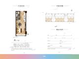 鲁能美丽汇_33平户型 建面33平米