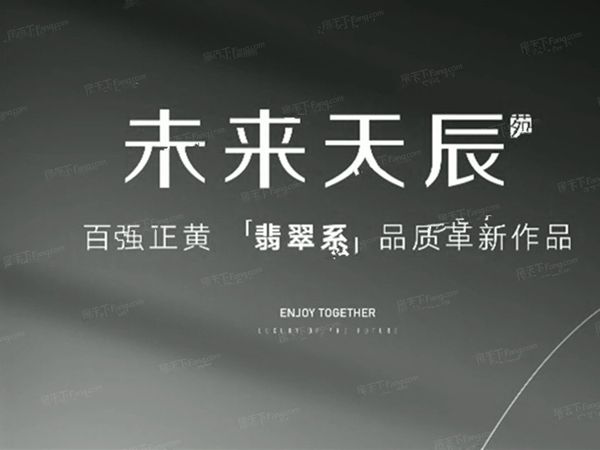 正黄未来天辰苑