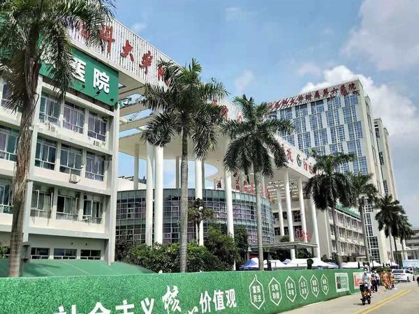 实地蔷薇熙岸