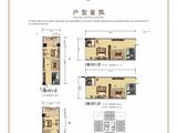 景祥君悦_1室1厅1卫 建面52平米