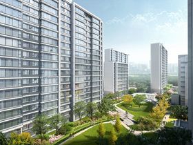 金为启宸
