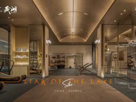 中建太泽之星丨藏湖